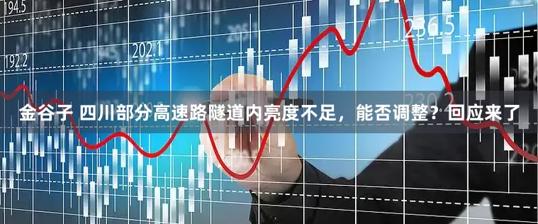金谷子 四川部分高速路隧道内亮度不足，能否调整？回应来了