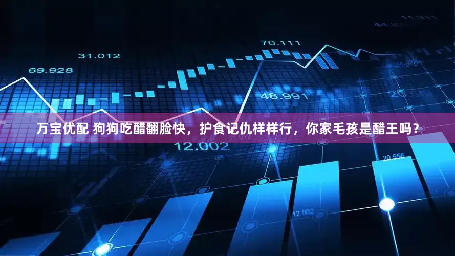万宝优配 狗狗吃醋翻脸快，护食记仇样样行，你家毛孩是醋王吗？