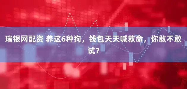 瑞银网配资 养这6种狗，钱包天天喊救命，你敢不敢试？