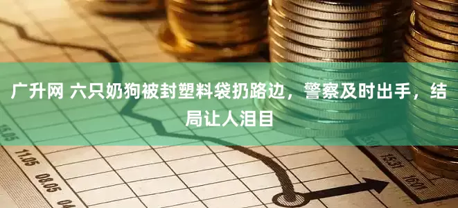 广升网 六只奶狗被封塑料袋扔路边，警察及时出手，结局让人泪目