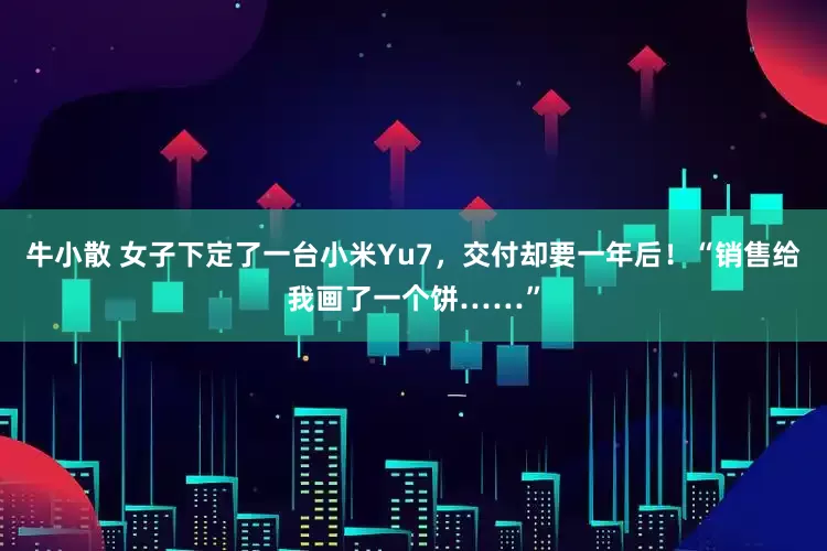 牛小散 女子下定了一台小米Yu7，交付却要一年后！“销售给我画了一个饼……”