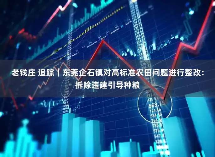 老钱庄 追踪｜东莞企石镇对高标准农田问题进行整改：拆除违建引导种粮