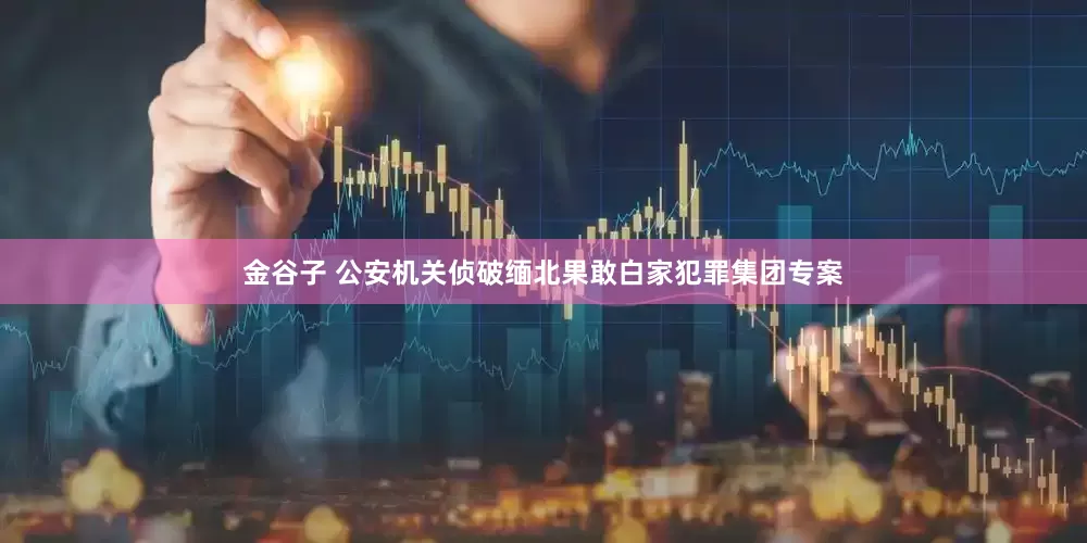 金谷子 公安机关侦破缅北果敢白家犯罪集团专案