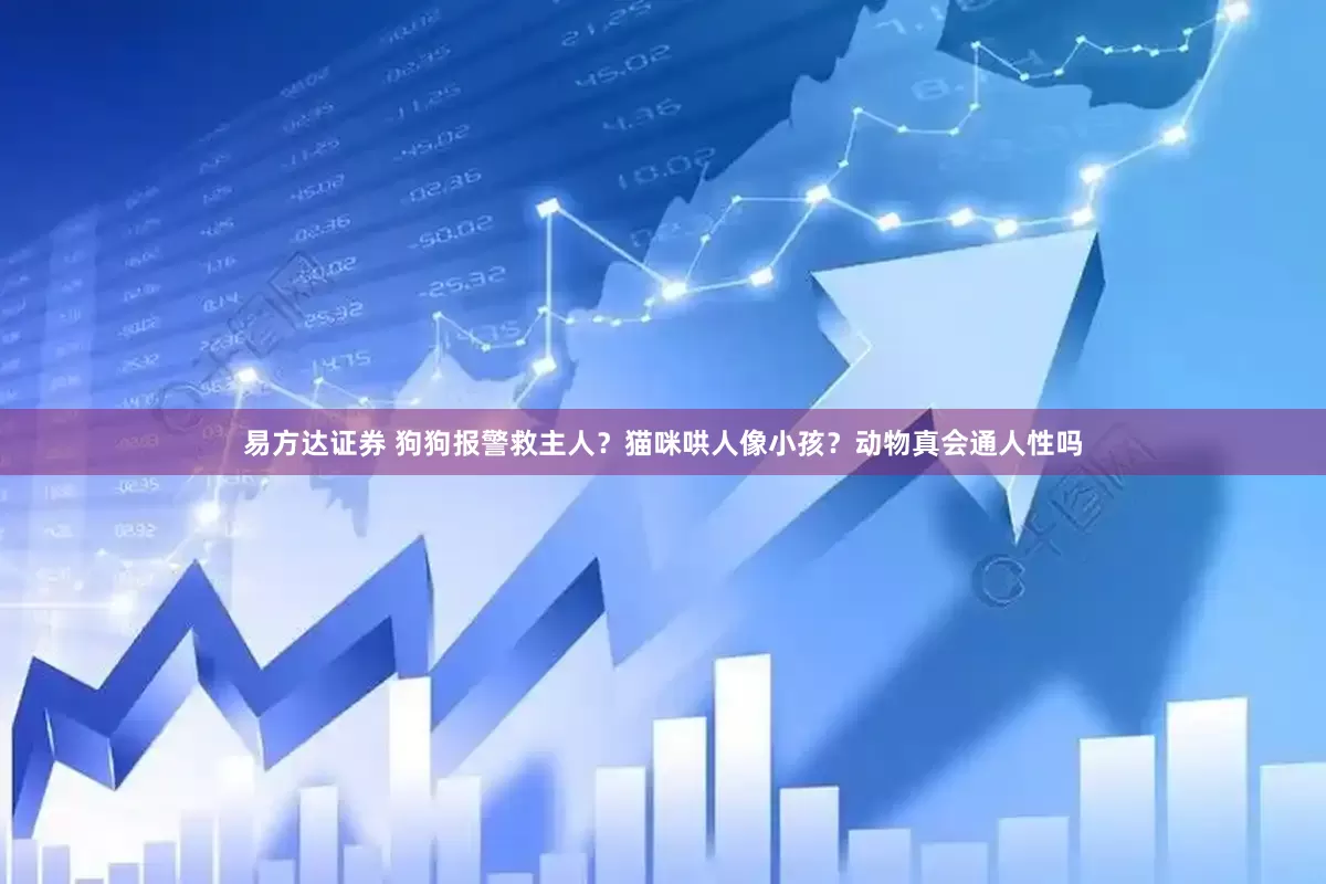 易方达证券 狗狗报警救主人？猫咪哄人像小孩？动物真会通人性吗